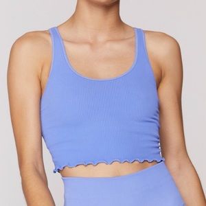 NWOT Spiritual gangster crop top purple/blue